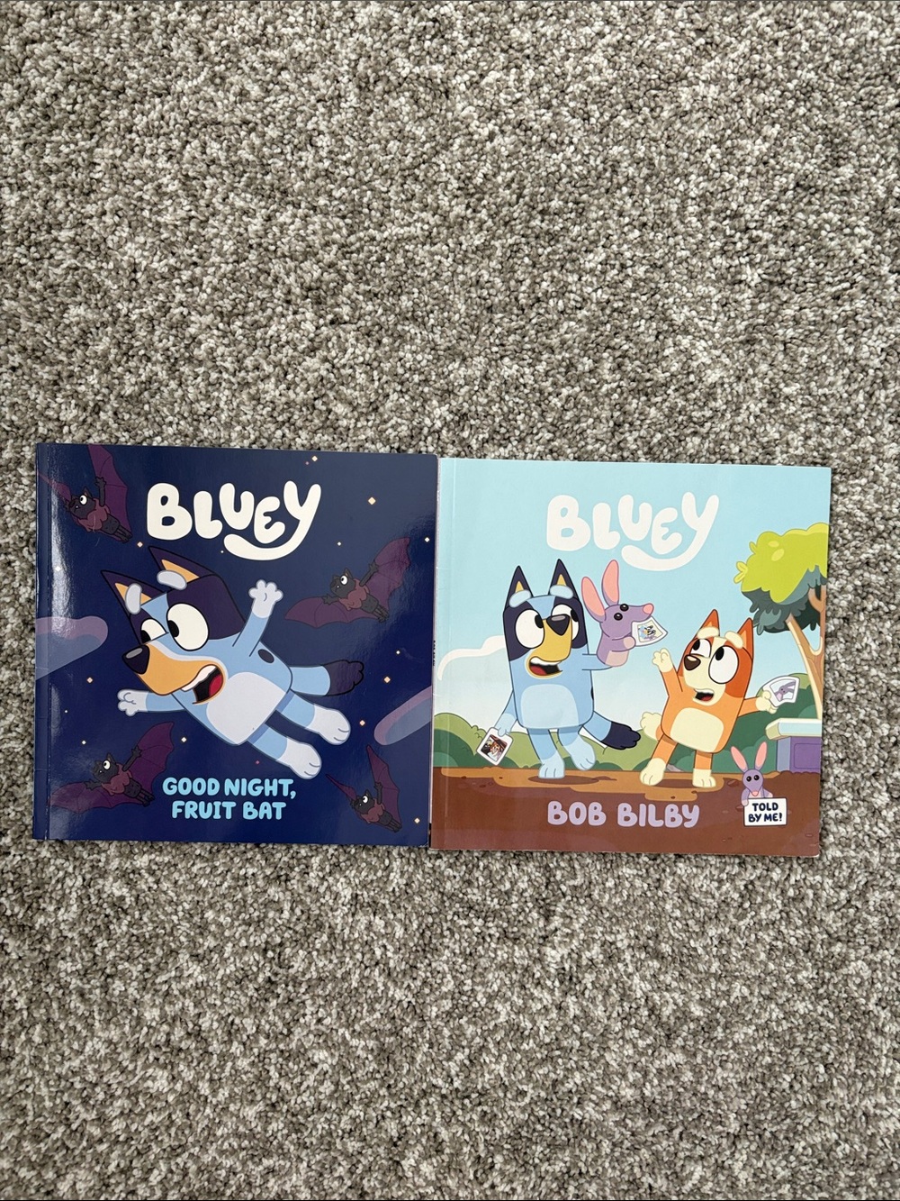 Bluey Kids Book Set - Blue and Light Blue Covers